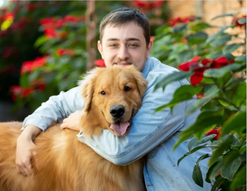 dogs can sense diabetes