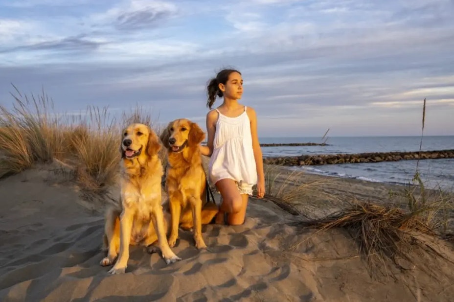 dogs interaction boost