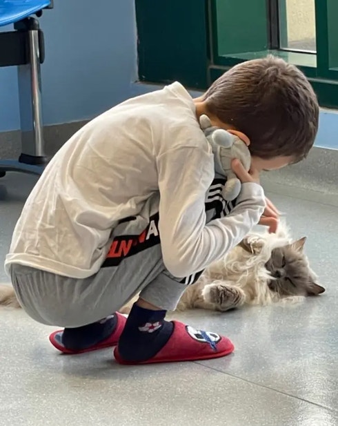 Cat therapy children