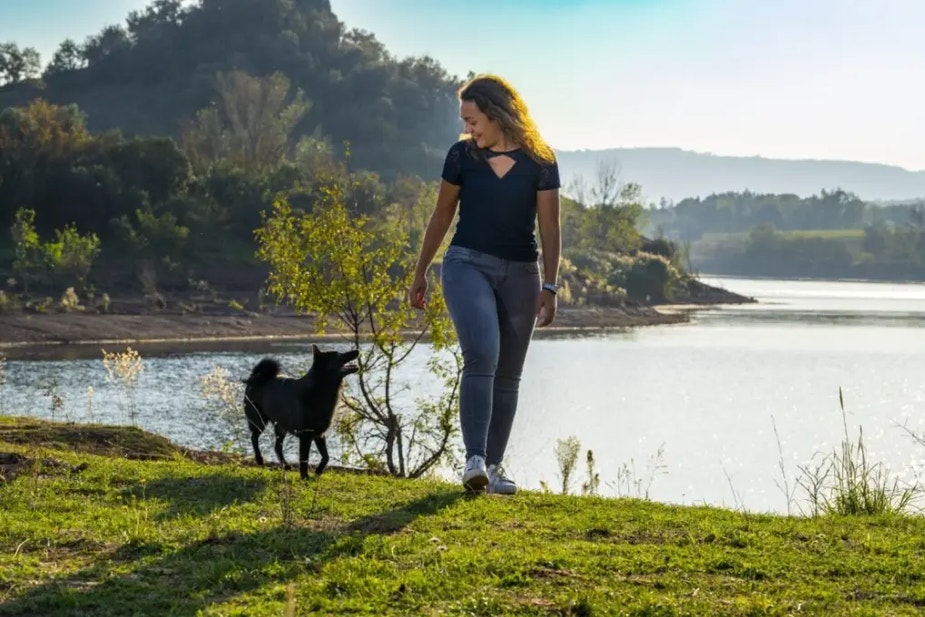 Health service money