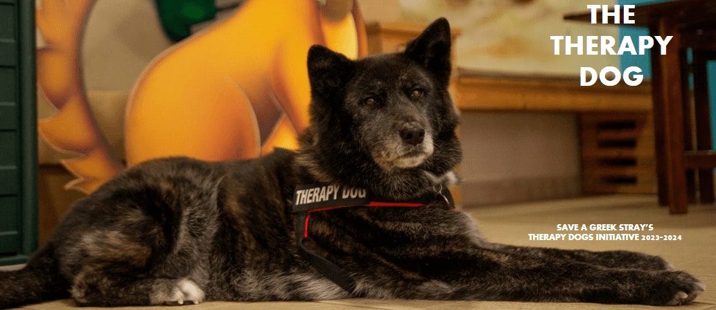 The therapy dog