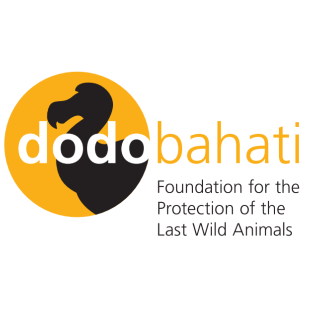 DodoBahati