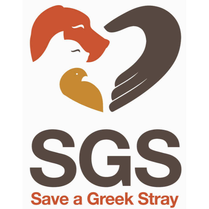 Save a Greek Stray