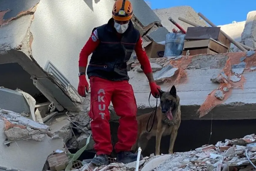 Addressing the needs of search and rescue teams in the aftermath of devastating earthquakes in Türkiye
