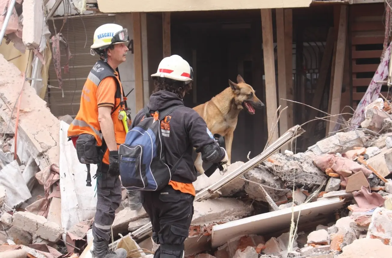 Search and rescue dogs for disaster situations with ACECC