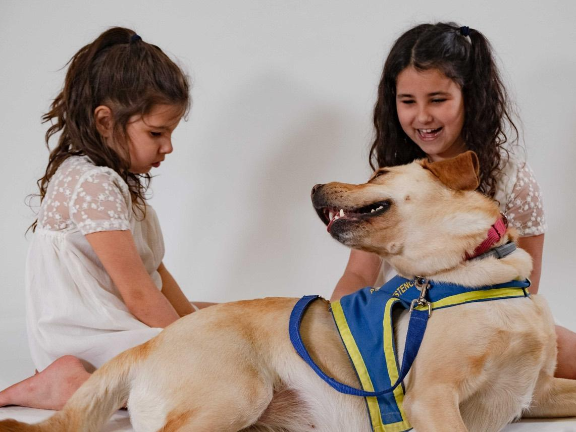 Improving The Lives Of Families With ASD Children
