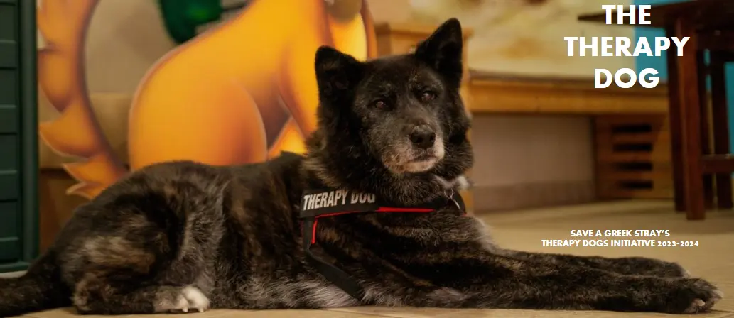 Un programme spécial de thérapie canine