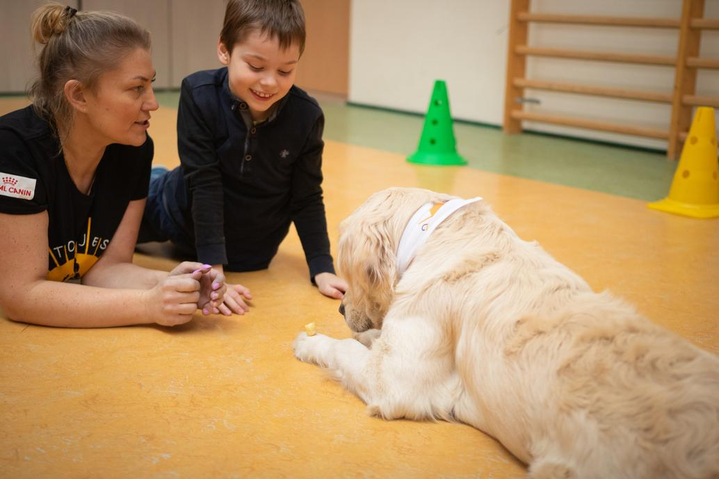 Autism Support Dogs