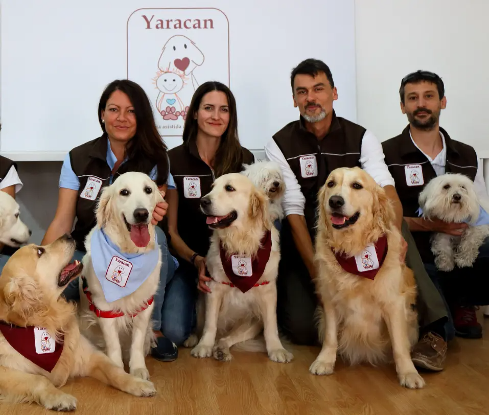 Des chiens de thérapie pour aider les enfants hospitalisés atteints de troubles neurocognitifs