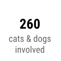 260 cats & dogs involved