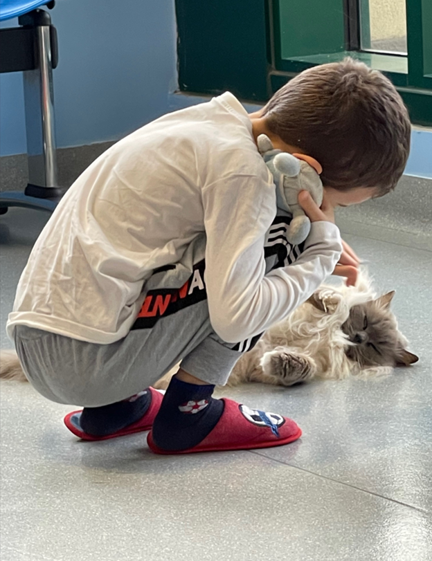Améliorer la qualité de vie d’enfants hospitalises grâce a des sessions de therapie feline