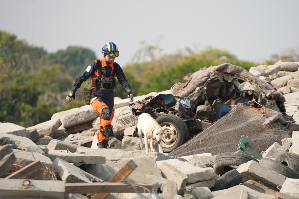 Protect the health of the hero dogs that sacredly save human lives in the rubble